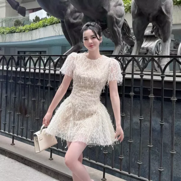 Váy Thiết Kế Cao Cấp Ren Tua Rua Sang Chảnh - Hình ảnh 2